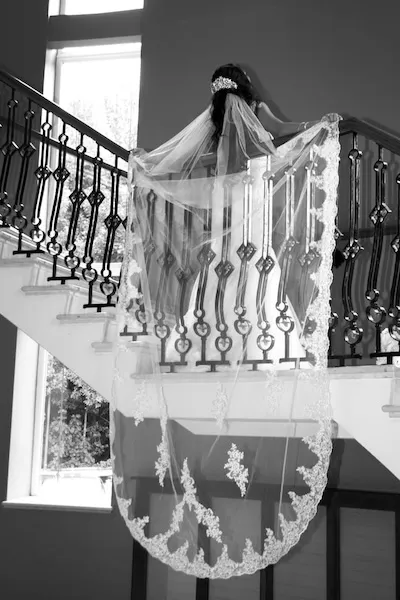 Wedding dress and veil